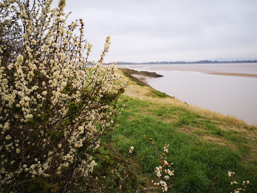 Severnside paths